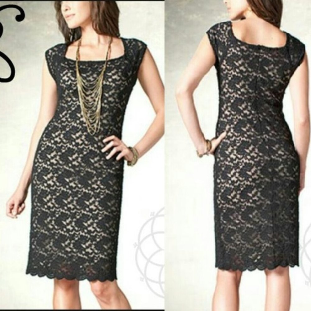Coldwater Creek Little Black Dress Lace